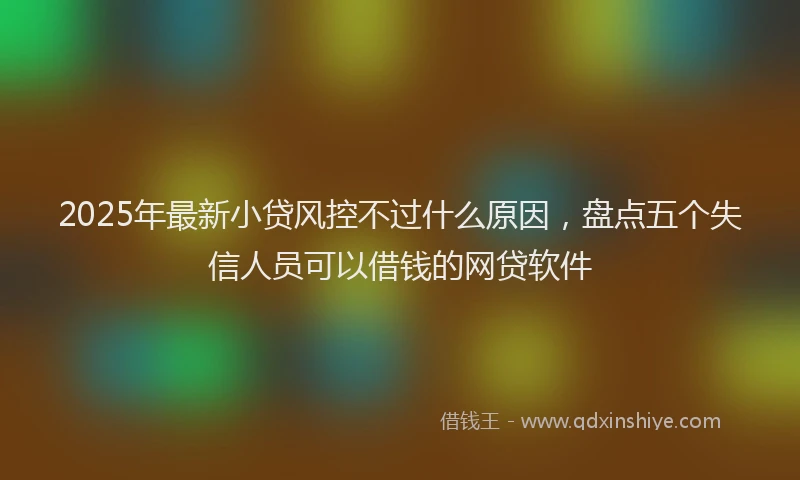 2025年最新小贷风控不过什么原因，盘点五个失信人员可以借钱的网贷软件
