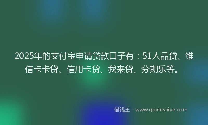 2025年的支付宝申请贷款口子有：51人品贷、维信卡卡贷、信用卡贷、我来贷、分期乐等。