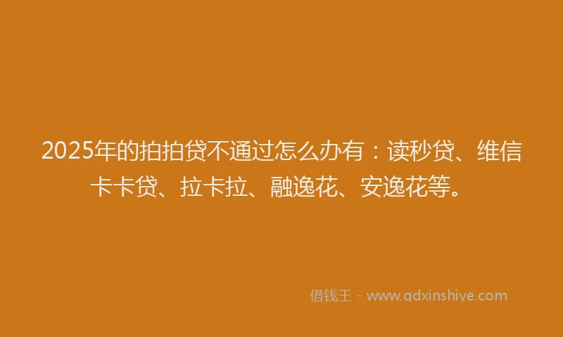 2025年的拍拍贷不通过怎么办有：读秒贷、维信卡卡贷、拉卡拉、融逸花、安逸花等。