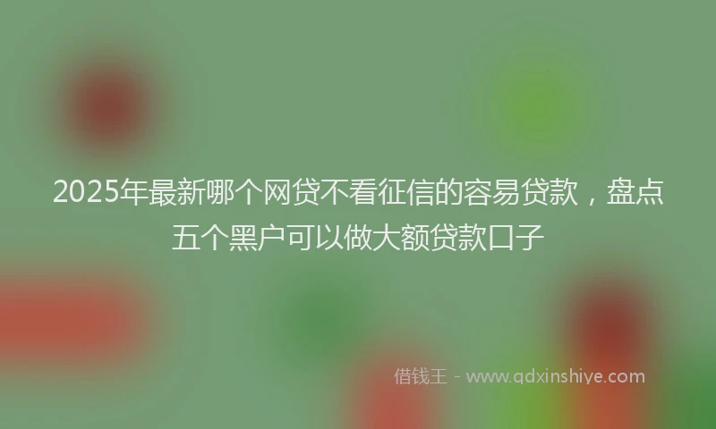 2025年最新哪个网贷不看征信的容易贷款，盘点五个黑户可以做大额贷款口子