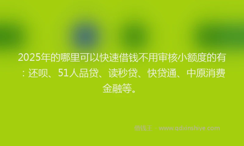 2025年的哪里可以快速借钱不用审核小额度的有：还呗、51人品贷、读秒贷、快贷通、中原消费金融等。