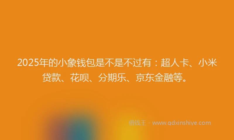 2025年的小象钱包是不是不过有：超人卡、小米贷款、花呗、分期乐、京东金融等。
