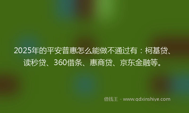 2025年的平安普惠怎么能做不通过有：柯基贷、读秒贷、360借条、惠商贷、京东金融等。