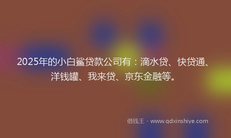2025年的小白鲨贷款公司有：滴水贷、快贷通、洋钱罐、我来贷、京东金融等。