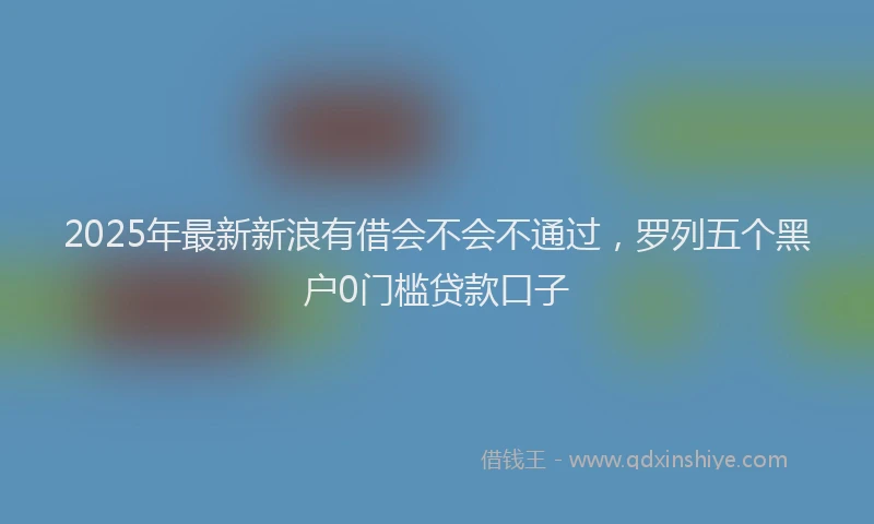 2025年最新新浪有借会不会不通过，罗列五个黑户0门槛贷款口子