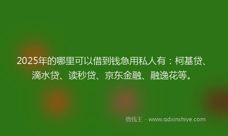 2025年的哪里可以借到钱急用私人有：柯基贷、滴水贷、读秒贷、京东金融、融逸花等。