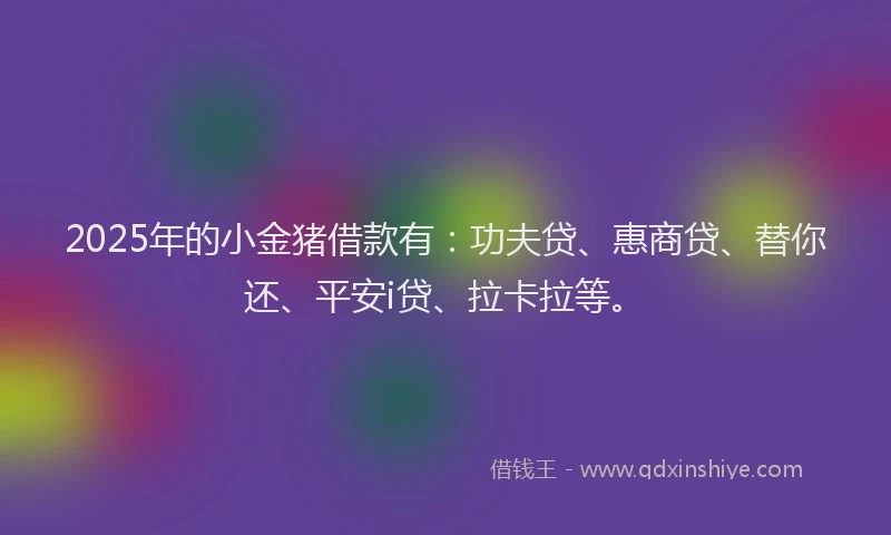 2025年的小金猪借款有：功夫贷、惠商贷、替你还、平安i贷、拉卡拉等。