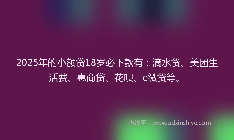 2025年的小额贷18岁必下款有：滴水贷、美团生活费、惠商贷、花呗、e微贷等。