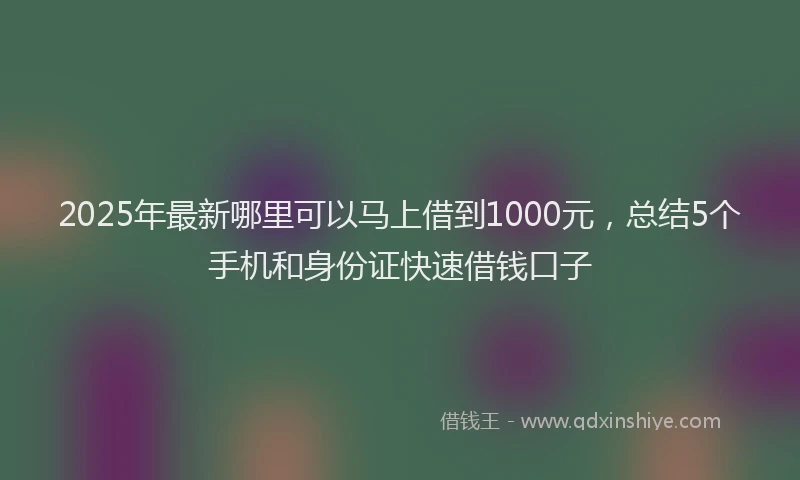 2025年最新哪里可以马上借到1000元，总结5个手机和身份证快速借钱口子