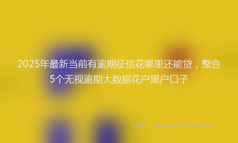 2025年最新当前有逾期征信花哪里还能贷，整合5个无视逾期大数据花户黑户口子