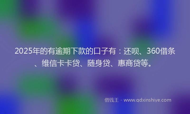2025年的有逾期下款的口子有：还呗、360借条、维信卡卡贷、随身贷、惠商贷等。