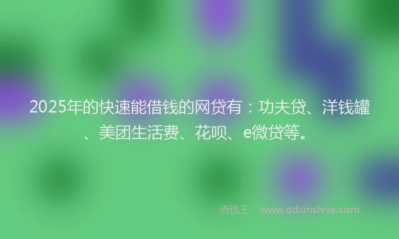 2025年的快速能借钱的网贷有：功夫贷、洋钱罐、美团生活费、花呗、e微贷等。