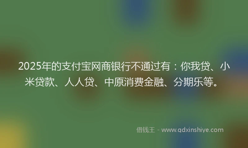 2025年的支付宝网商银行不通过有：你我贷、小米贷款、人人贷、中原消费金融、分期乐等。