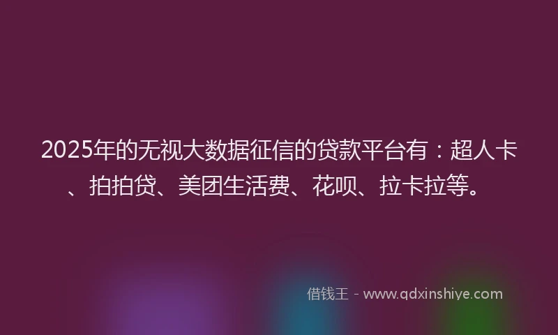 2025年的无视大数据征信的贷款平台有：超人卡、拍拍贷、美团生活费、花呗、拉卡拉等。