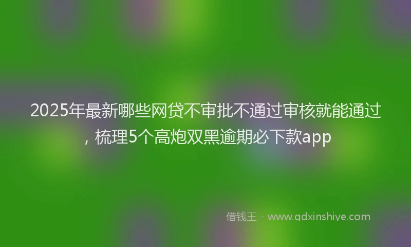 2025年最新哪些网贷不审批不通过审核就能通过，梳理5个高炮双黑逾期必下款app