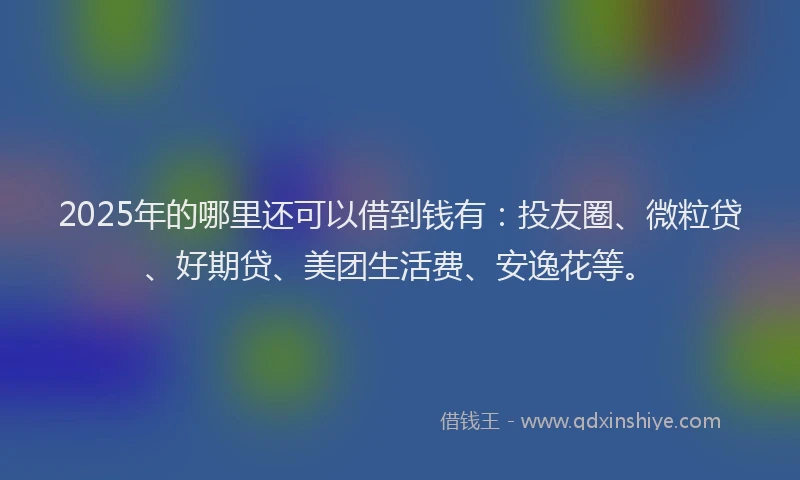 2025年的哪里还可以借到钱有：投友圈、微粒贷、好期贷、美团生活费、安逸花等。