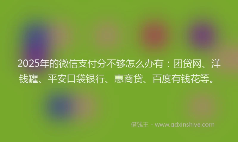 2025年的微信支付分不够怎么办有：团贷网、洋钱罐、平安口袋银行、惠商贷、百度有钱花等。