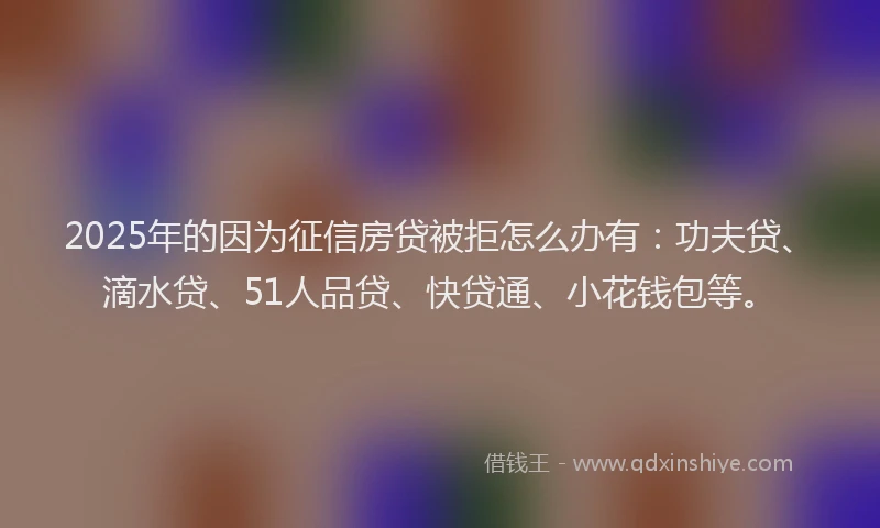 2025年的因为征信房贷被拒怎么办有：功夫贷、滴水贷、51人品贷、快贷通、小花钱包等。