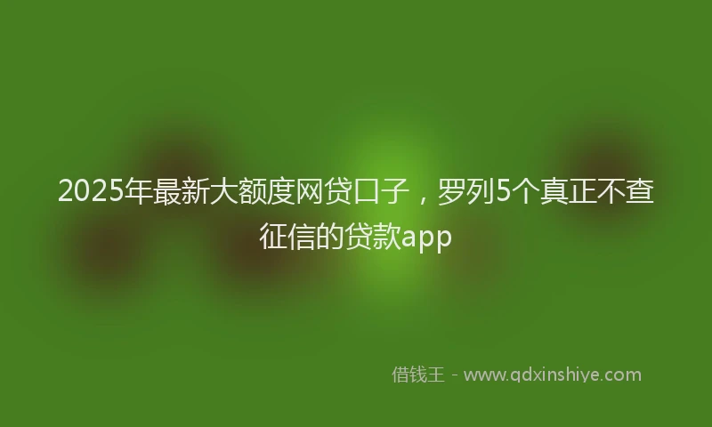 2025年最新大额度网贷口子，罗列5个真正不查征信的贷款app