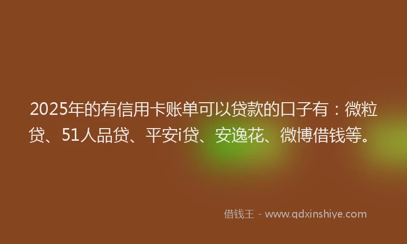 2025年的有信用卡账单可以贷款的口子有：微粒贷、51人品贷、平安i贷、安逸花、微博借钱等。