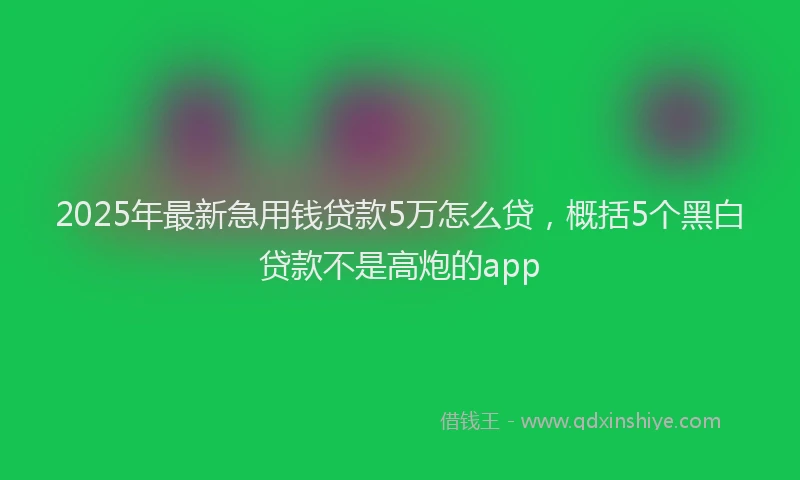 2025年最新急用钱贷款5万怎么贷，概括5个黑白贷款不是高炮的app