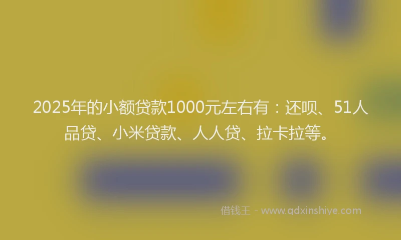 2025年的小额贷款1000元左右有：还呗、51人品贷、小米贷款、人人贷、拉卡拉等。