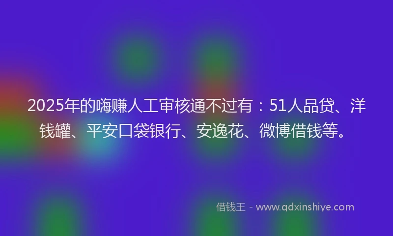 2025年的嗨赚人工审核通不过有：51人品贷、洋钱罐、平安口袋银行、安逸花、微博借钱等。