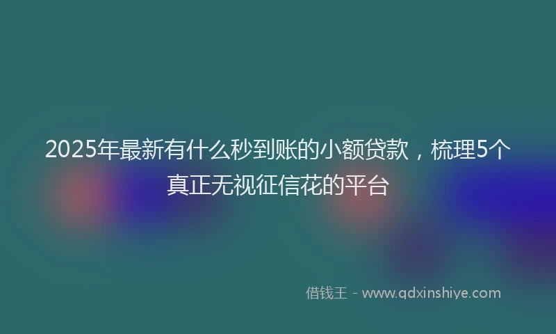 2025年最新有什么秒到账的小额贷款，梳理5个真正无视征信花的平台