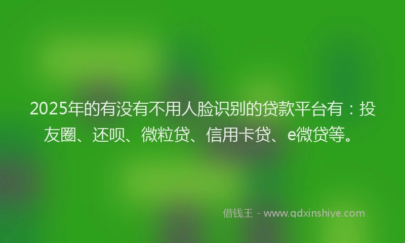 2025年的有没有不用人脸识别的贷款平台有：投友圈、还呗、微粒贷、信用卡贷、e微贷等。