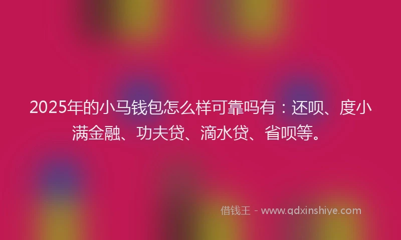 2025年的小马钱包怎么样可靠吗有：还呗、度小满金融、功夫贷、滴水贷、省呗等。
