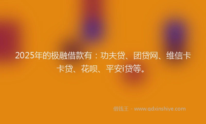 2025年的极融借款有：功夫贷、团贷网、维信卡卡贷、花呗、平安i贷等。