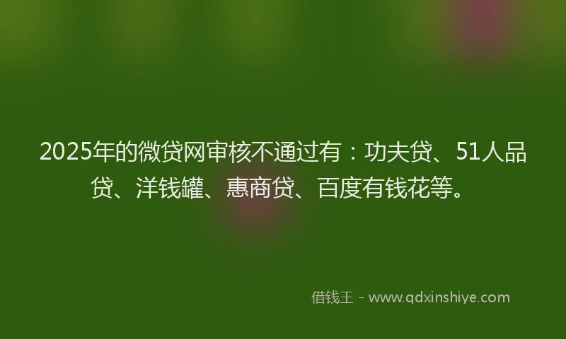 2025年的微贷网审核不通过有：功夫贷、51人品贷、洋钱罐、惠商贷、百度有钱花等。