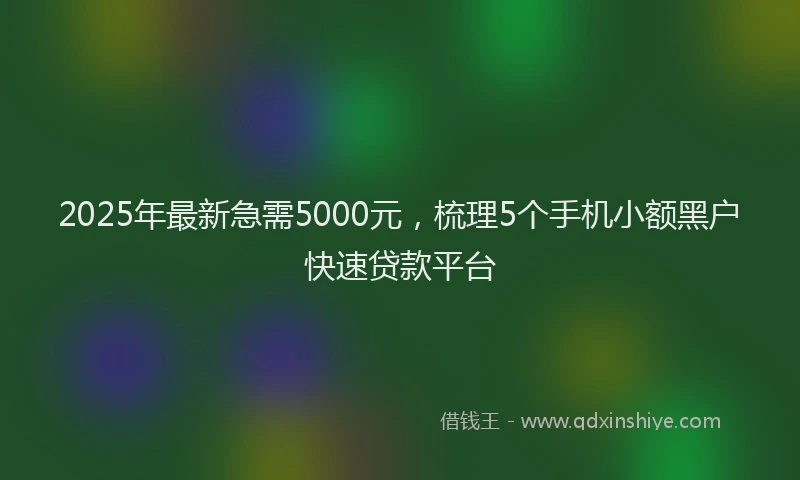 2025年最新急需5000元，梳理5个手机小额黑户快速贷款平台