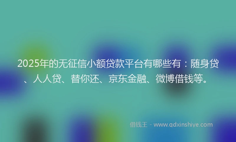2025年的无征信小额贷款平台有哪些有：随身贷、人人贷、替你还、京东金融、微博借钱等。