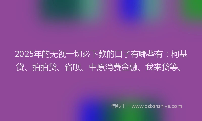2025年的无视一切必下款的口子有哪些有：柯基贷、拍拍贷、省呗、中原消费金融、我来贷等。