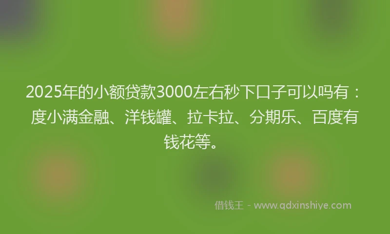 2025年的小额贷款3000左右秒下口子可以吗有：度小满金融、洋钱罐、拉卡拉、分期乐、百度有钱花等。