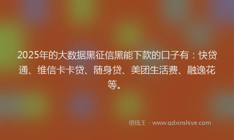 2025年的大数据黑征信黑能下款的口子有：快贷通、维信卡卡贷、随身贷、美团生活费、融逸花等。