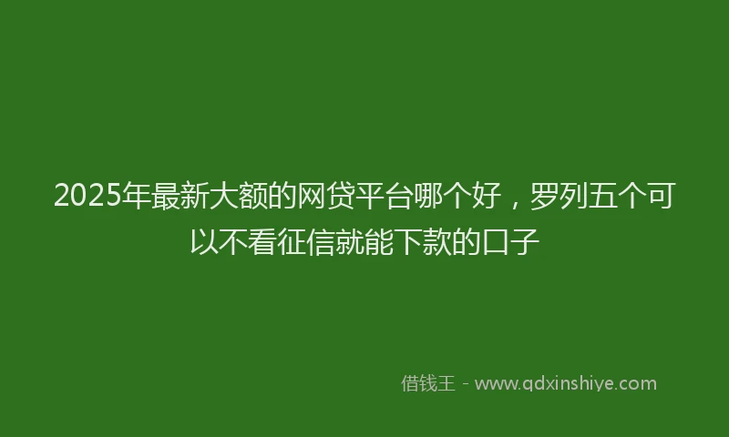 2025年最新大额的网贷平台哪个好，罗列五个可以不看征信就能下款的口子