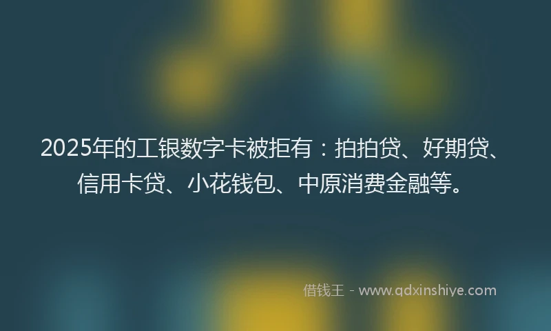 2025年的工银数字卡被拒有：拍拍贷、好期贷、信用卡贷、小花钱包、中原消费金融等。