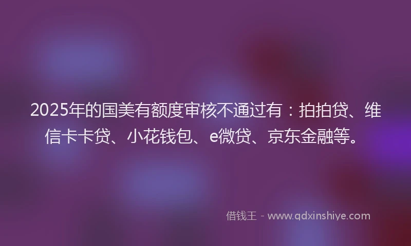2025年的国美有额度审核不通过有：拍拍贷、维信卡卡贷、小花钱包、e微贷、京东金融等。