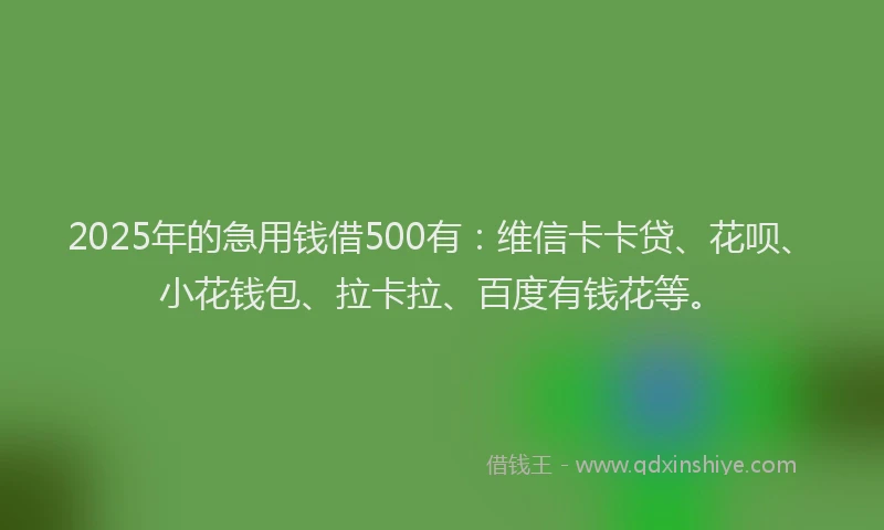 2025年的急用钱借500有：维信卡卡贷、花呗、小花钱包、拉卡拉、百度有钱花等。