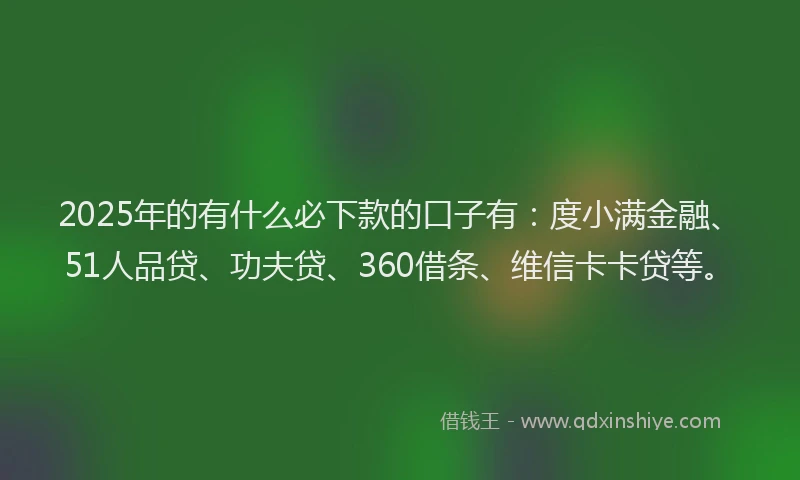 2025年的有什么必下款的口子有：度小满金融、51人品贷、功夫贷、360借条、维信卡卡贷等。