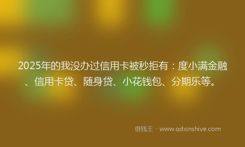 2025年的我没办过信用卡被秒拒有：度小满金融、信用卡贷、随身贷、小花钱包、分期乐等。