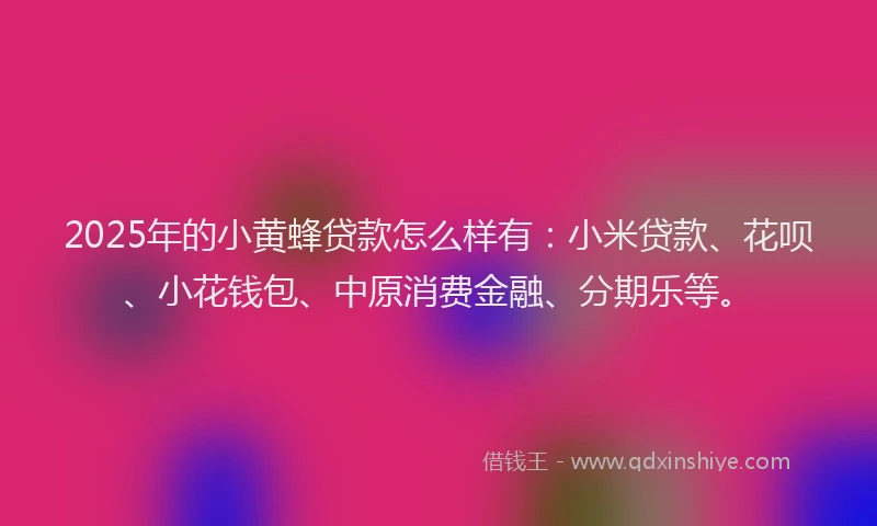 2025年的小黄蜂贷款怎么样有：小米贷款、花呗、小花钱包、中原消费金融、分期乐等。