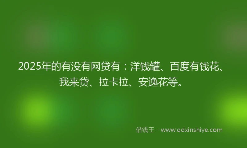 2025年的有没有网贷有：洋钱罐、百度有钱花、我来贷、拉卡拉、安逸花等。