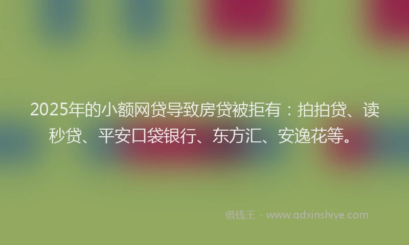 2025年的小额网贷导致房贷被拒有：拍拍贷、读秒贷、平安口袋银行、东方汇、安逸花等。