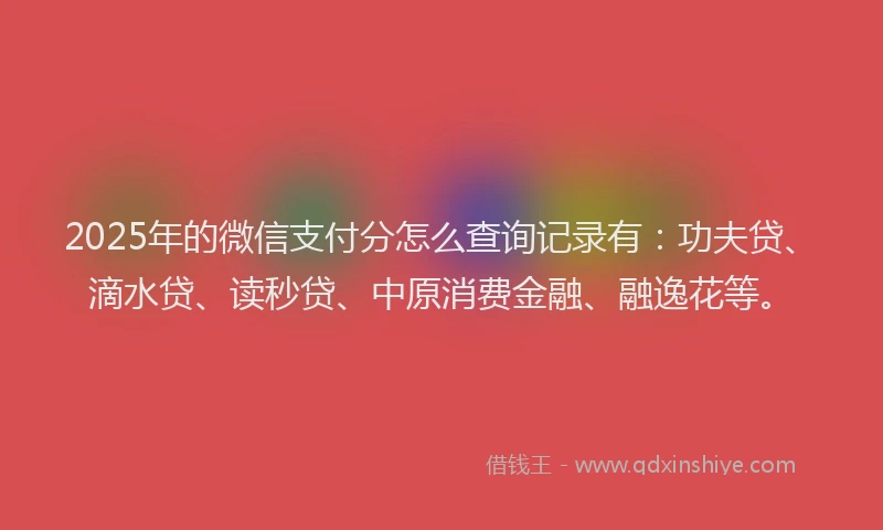 2025年的微信支付分怎么查询记录有：功夫贷、滴水贷、读秒贷、中原消费金融、融逸花等。