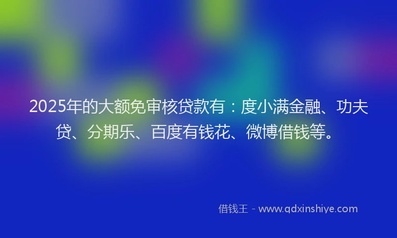 2025年的大额免审核贷款有：度小满金融、功夫贷、分期乐、百度有钱花、微博借钱等。
