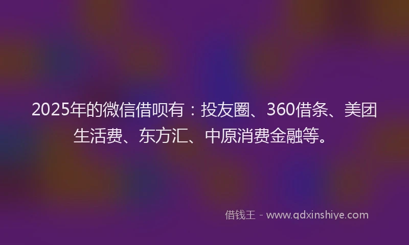 2025年的微信借呗有：投友圈、360借条、美团生活费、东方汇、中原消费金融等。