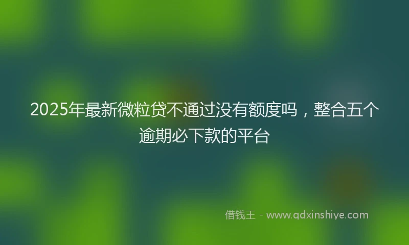 2025年最新微粒贷不通过没有额度吗，整合五个逾期必下款的平台